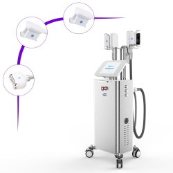 3 Handles Professional Fat Freezing Cellulite Removal Machine