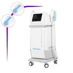 Standing 2 in 1 EMS Muscle Building Body Sculpting Machine for Sale