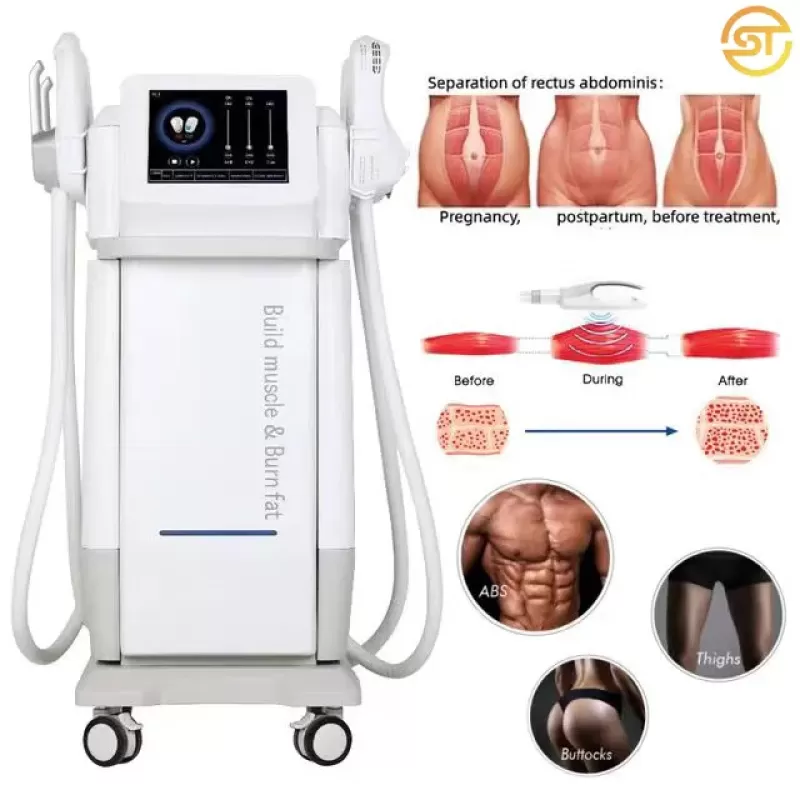 Standing 2 in 1 EMS Muscle Building Body Sculpting Machine for Sale